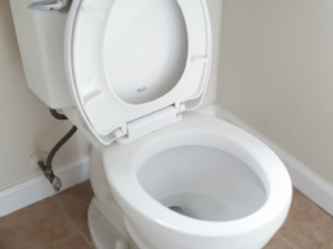 toilet with the lid open